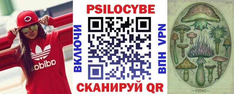 Купить закладки  Знаменск  Галлюциногенные грибы прущие грибы 